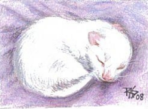 Как нарисовать новорожденного котенка — изображение 8