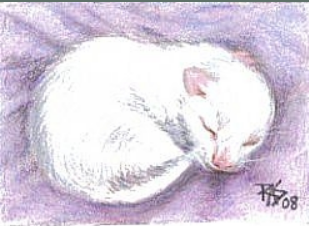 Как нарисовать новорожденного котенка