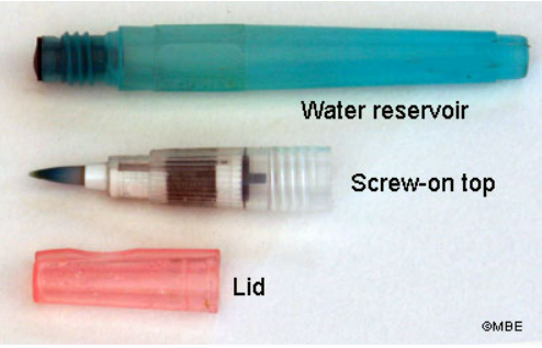 Водяные кисточки ( Waterbrush ) — изображение 1