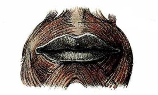 Как нарисовать рот, губы. Анатомия — изображение 4