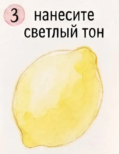 Урок: «Как нарисовать лимон акварелью» — изображение 4