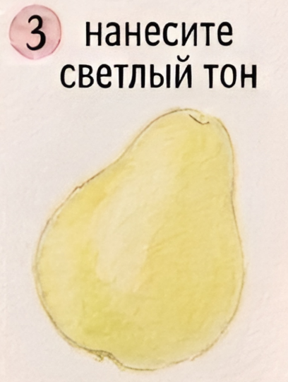 Как нарисовать грушу акварелью — изображение 4