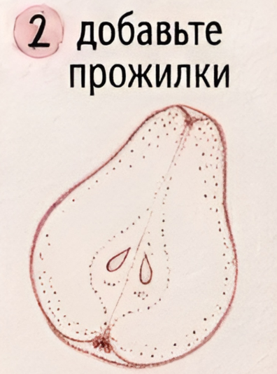Как нарисовать грушу акварелью — изображение 3