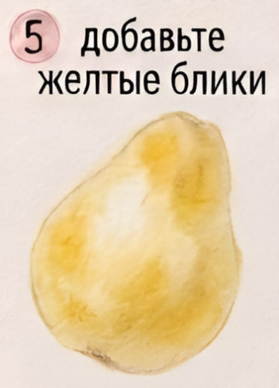 Как нарисовать грушу акварелью — изображение 6