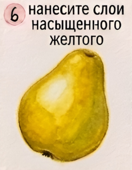 Как нарисовать грушу акварелью — изображение 7