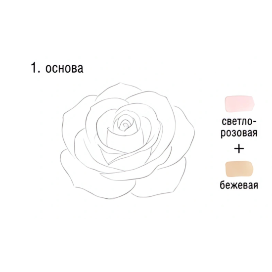 Как нарисовать розу акварелью: пошаговый мастер‑класс по инструкции — изображение 1