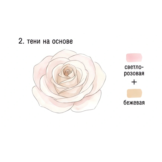 Как нарисовать розу акварелью: пошаговый мастер‑класс по инструкции — изображение 2