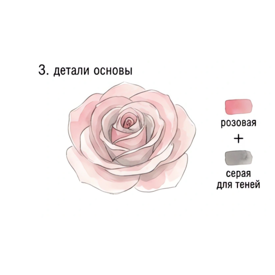 Как нарисовать розу акварелью: пошаговый мастер‑класс по инструкции — изображение 3